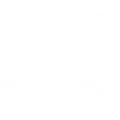 Ignite Brisbane Events