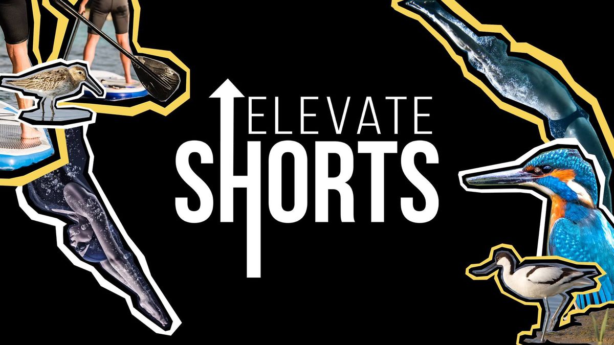 Elevate Shorts