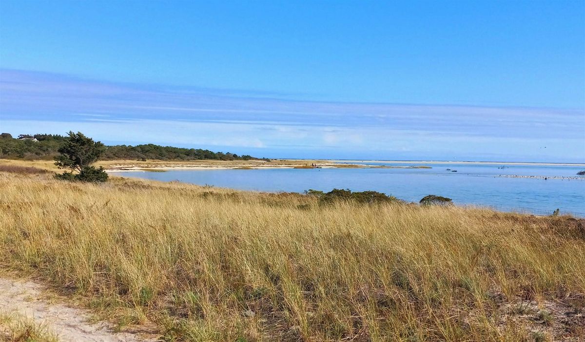 February Bird Walk: Morris Island