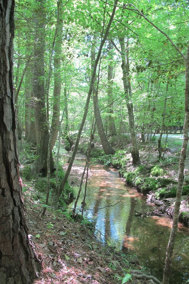 District Hike #174 - Durant Nature Park