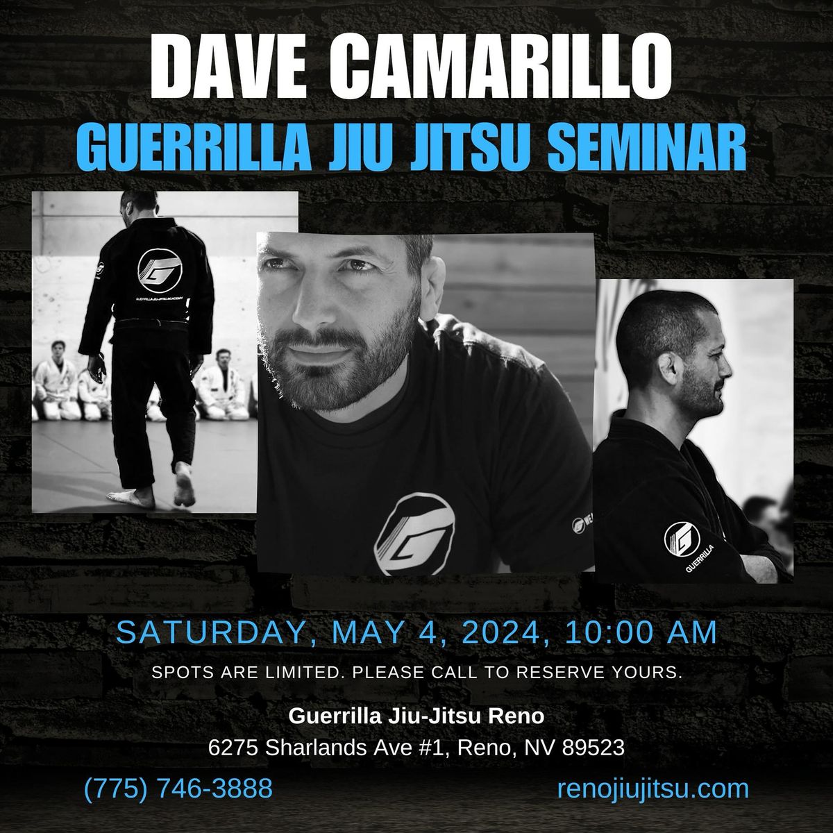 Dave Camarillo Guerrilla Jiu Jitsu Seminar