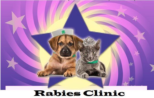Willow City, Texas Pet Rabies Clinic