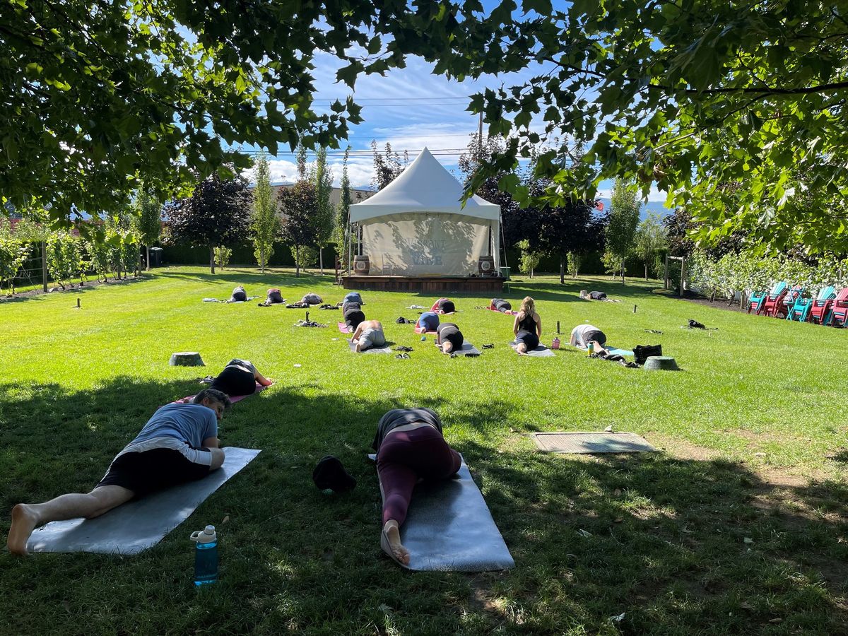 Sunrise Yoga in the Vineyard: Blissful Morning Flow followed by Mimosas