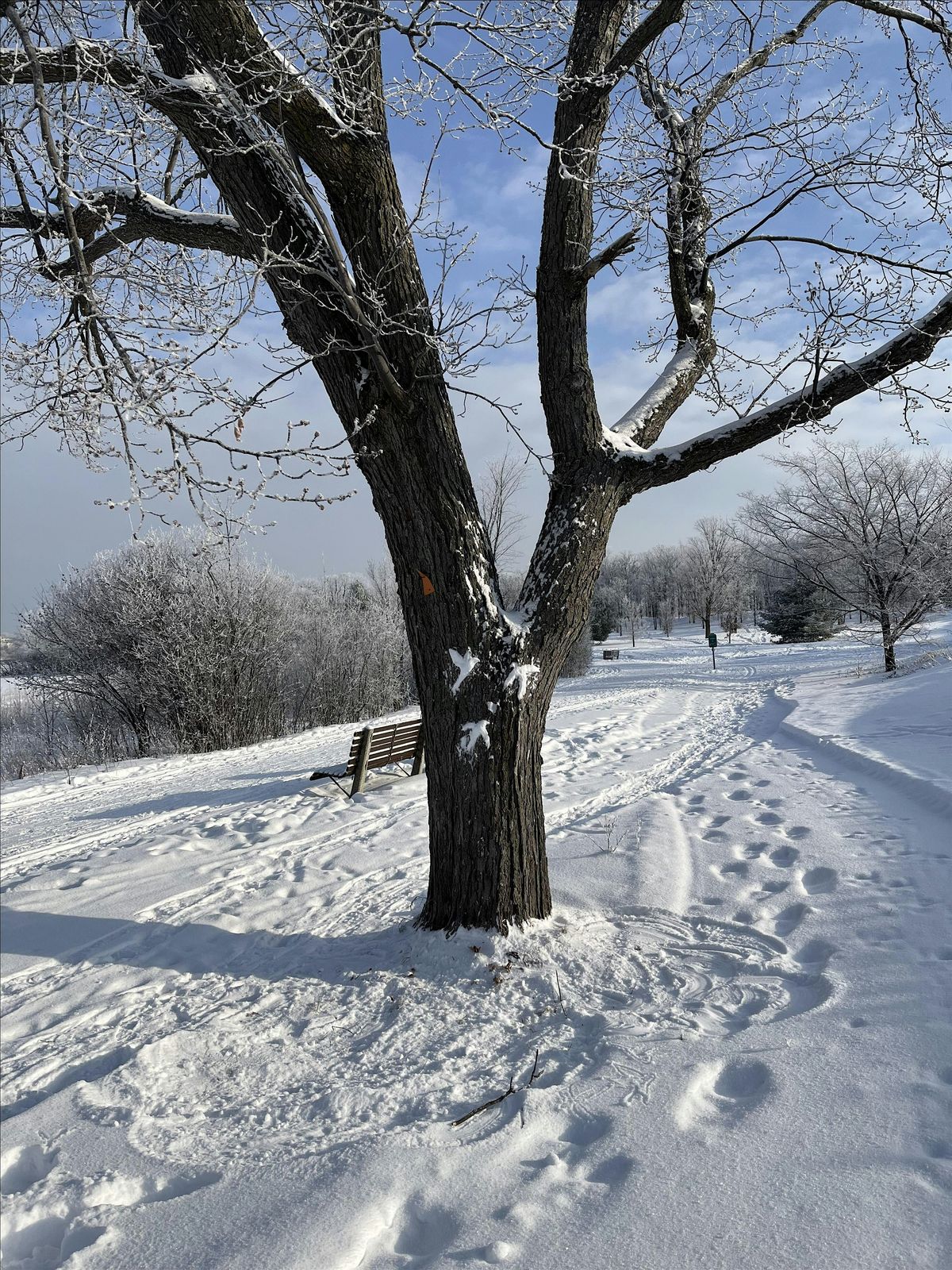 Ephemeral Art Making Workshop -Snow & Connection