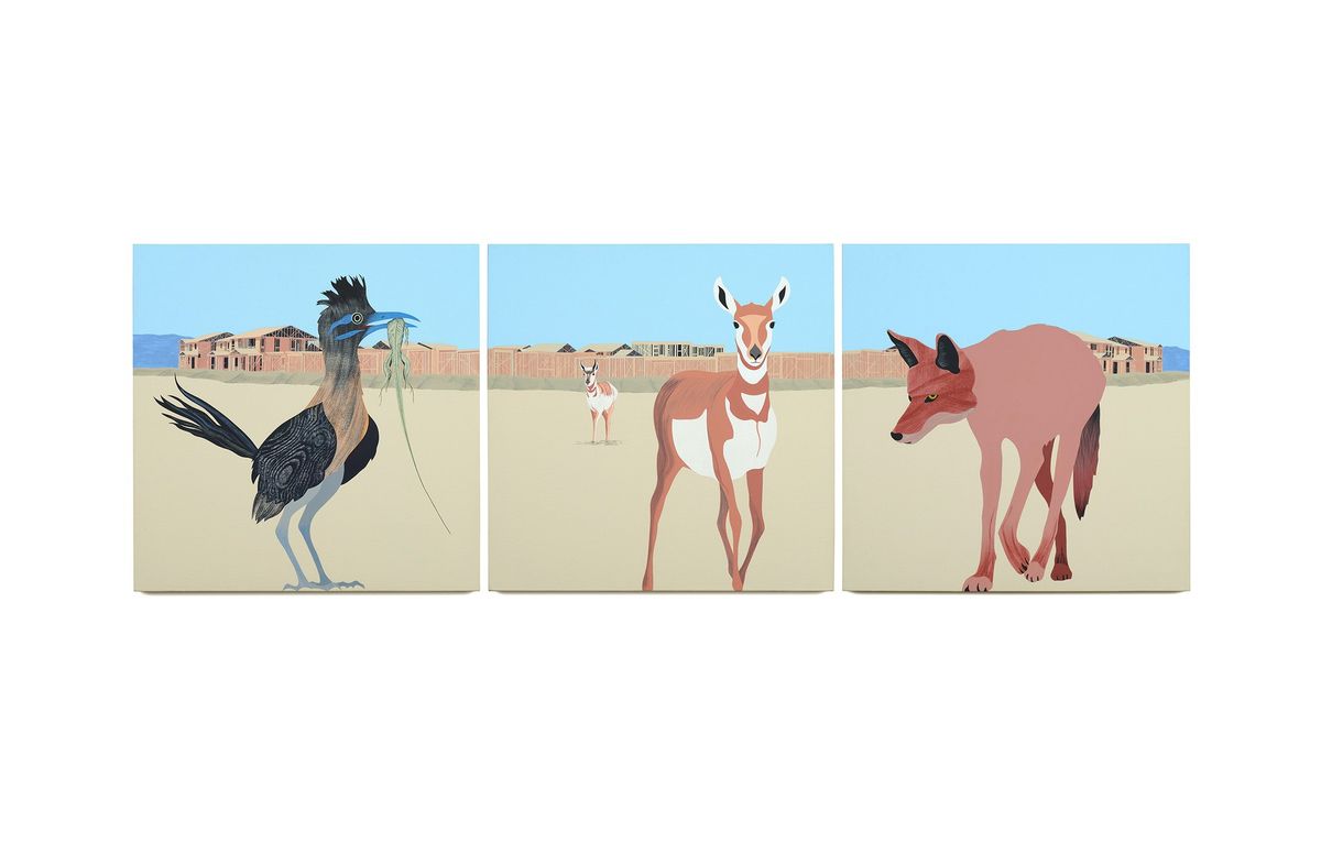 New Exhibition Opens! Neighbors: Wildlife Paintings by Hilary Baker