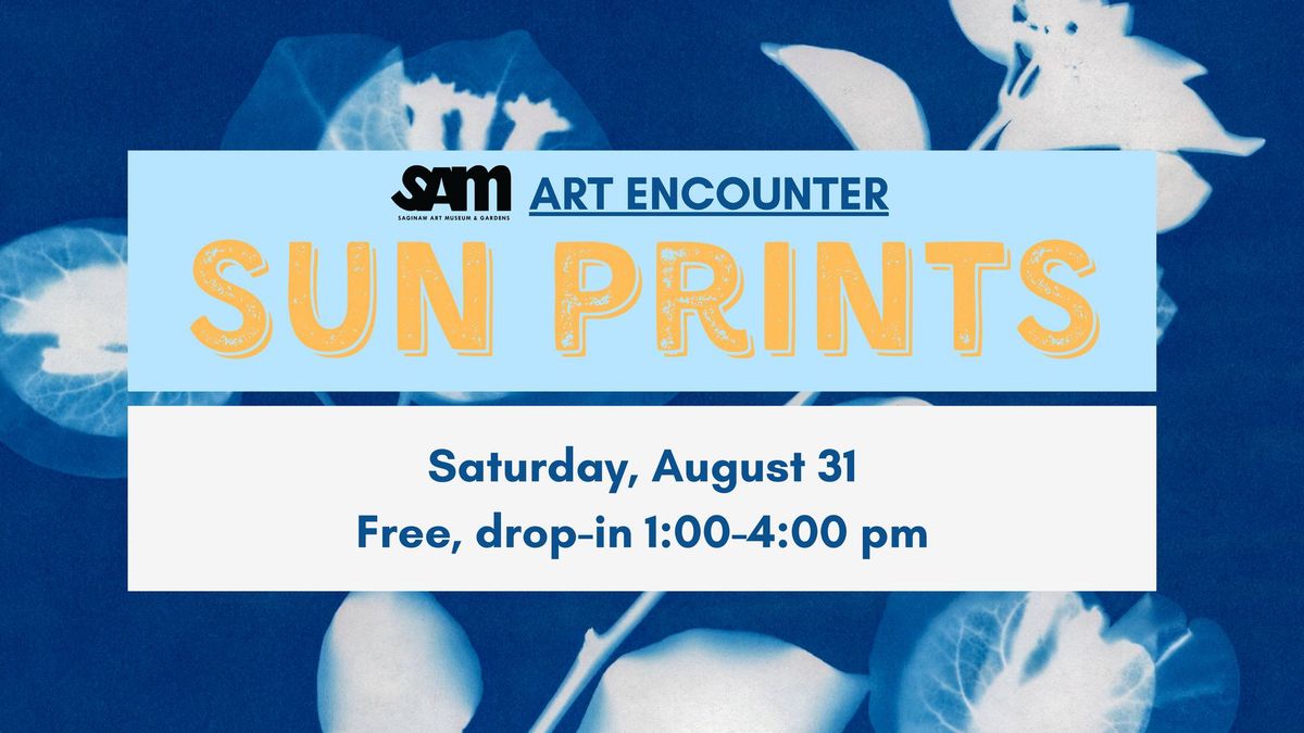 ART ENCOUNTER: Sun Prints