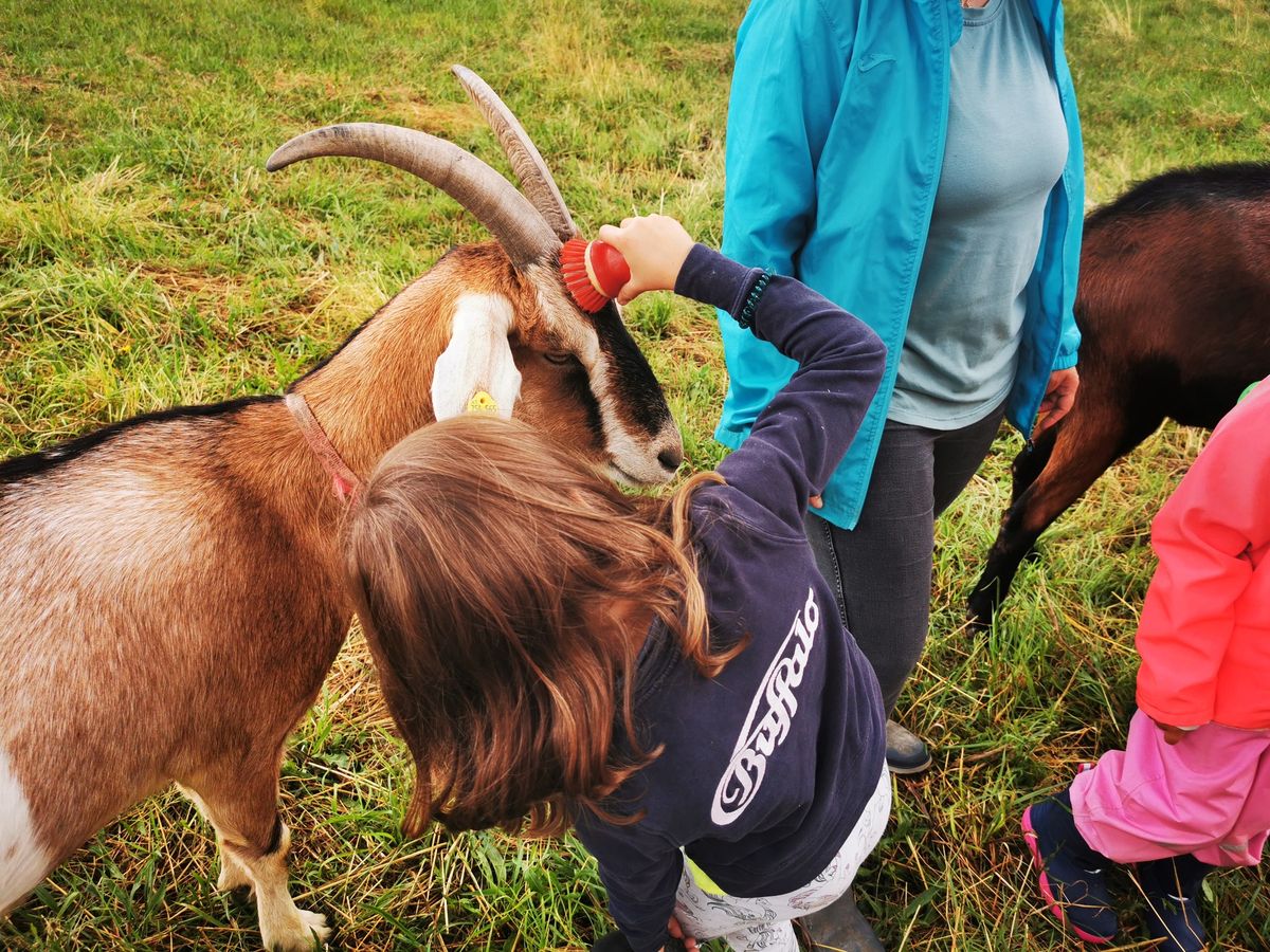 Osterferien - Kinderbetreuung am Gutshof Finsterhof