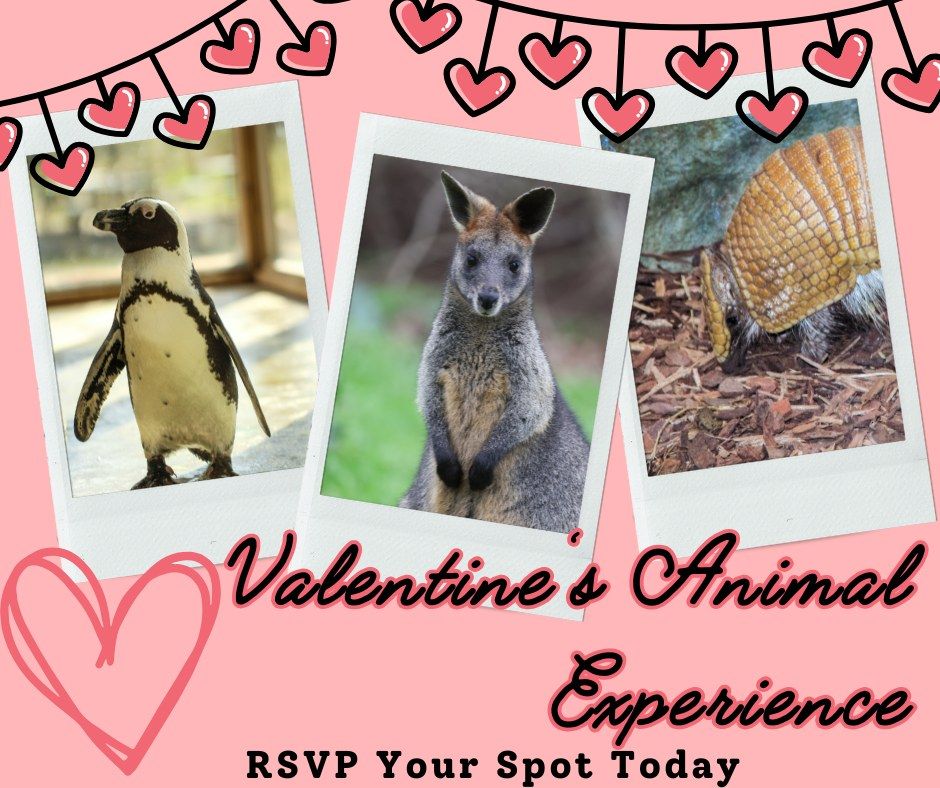 Valentine's Animal Encounter