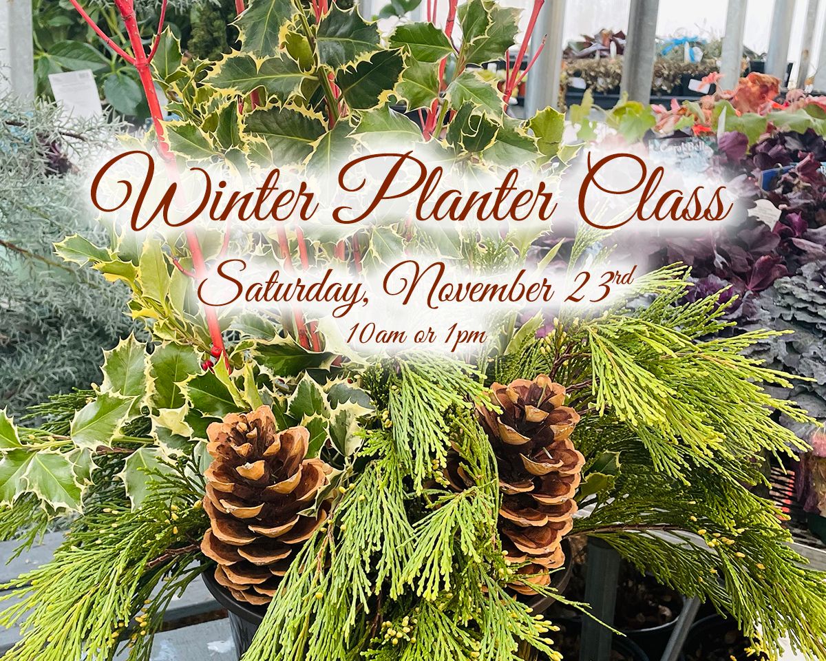 Winter Planter Class 10am or 1pm