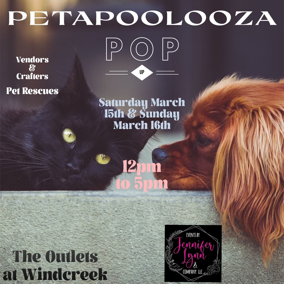 Petapoolza Pop Up 