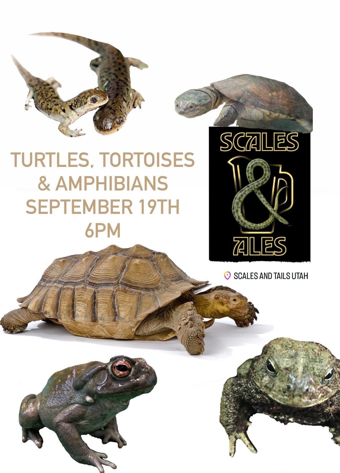 Scales & Ales - Turtles, Tortoises & Amphibians