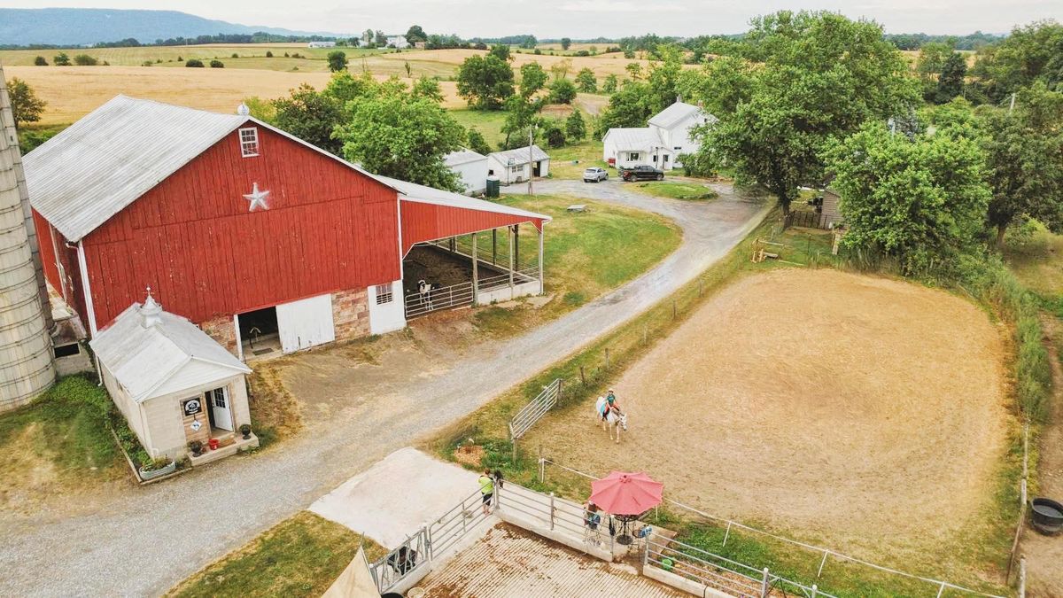 Top Bar Equine\u2019s Christmas Party