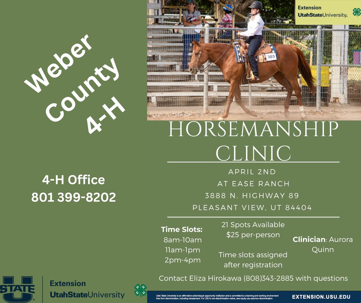 Horsemanship Clinic