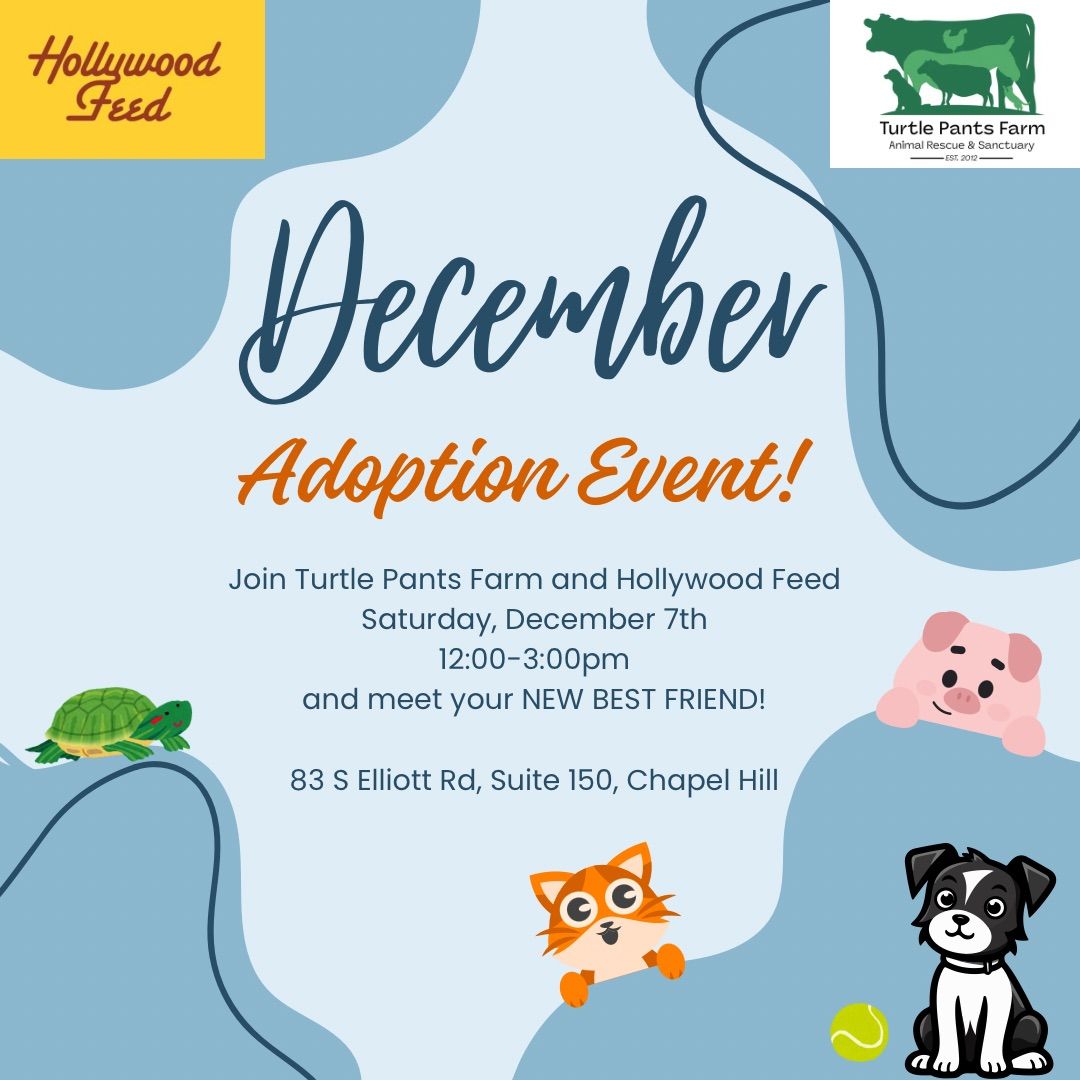 December Adoption Event with Turtle Pants Farm and Hollywood Feed