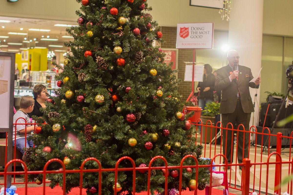 Lighting of the Sharing Tree