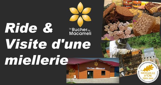 Ride & Visite d'une miellerie