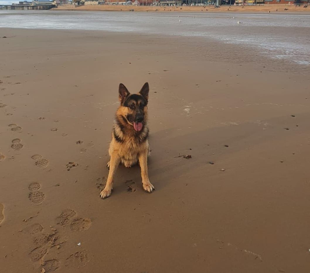 beach day Friday 