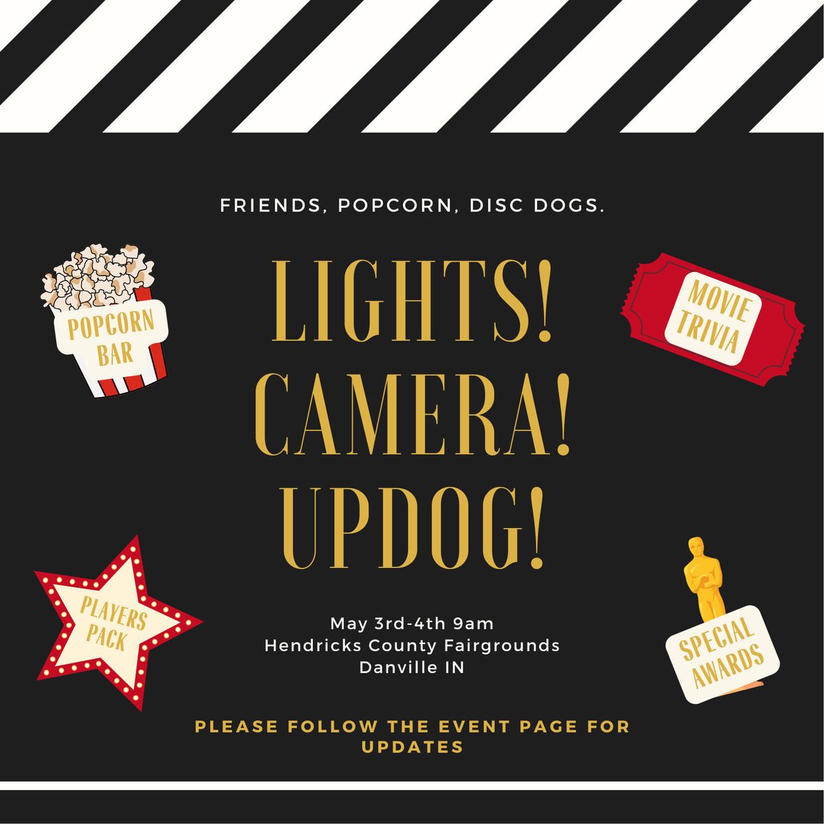 Lights, Camera, UPDOG