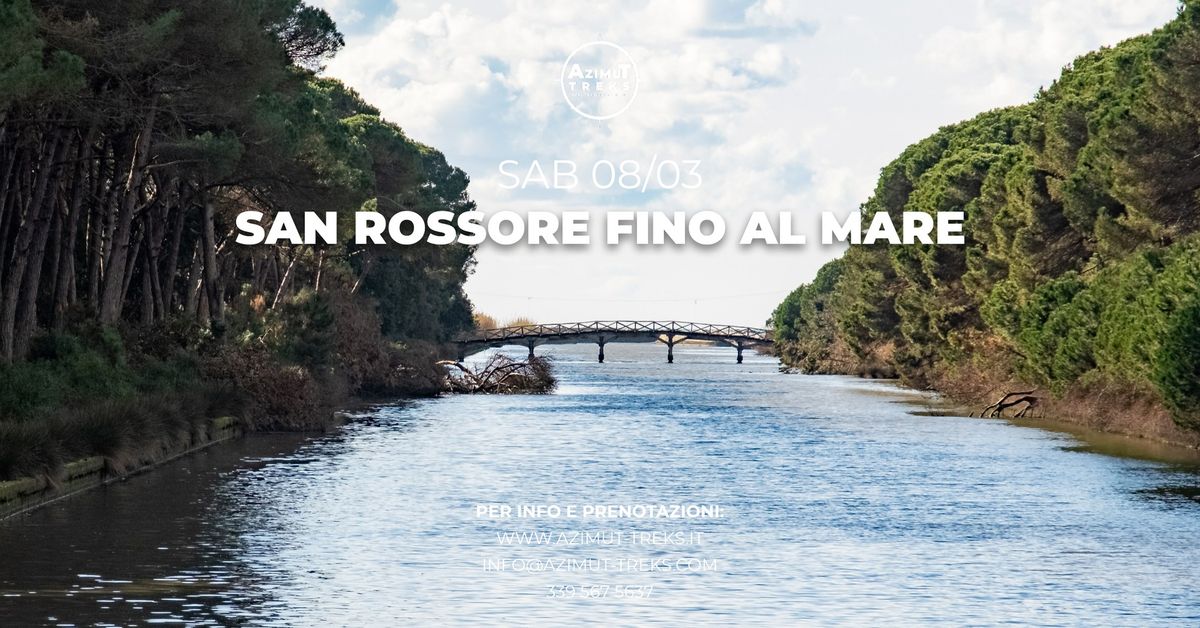 Trekking San Rossore fino al Mare