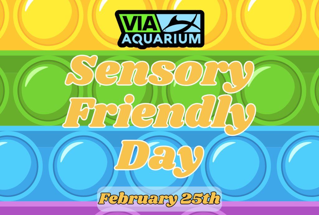 Sensory Friendly Day