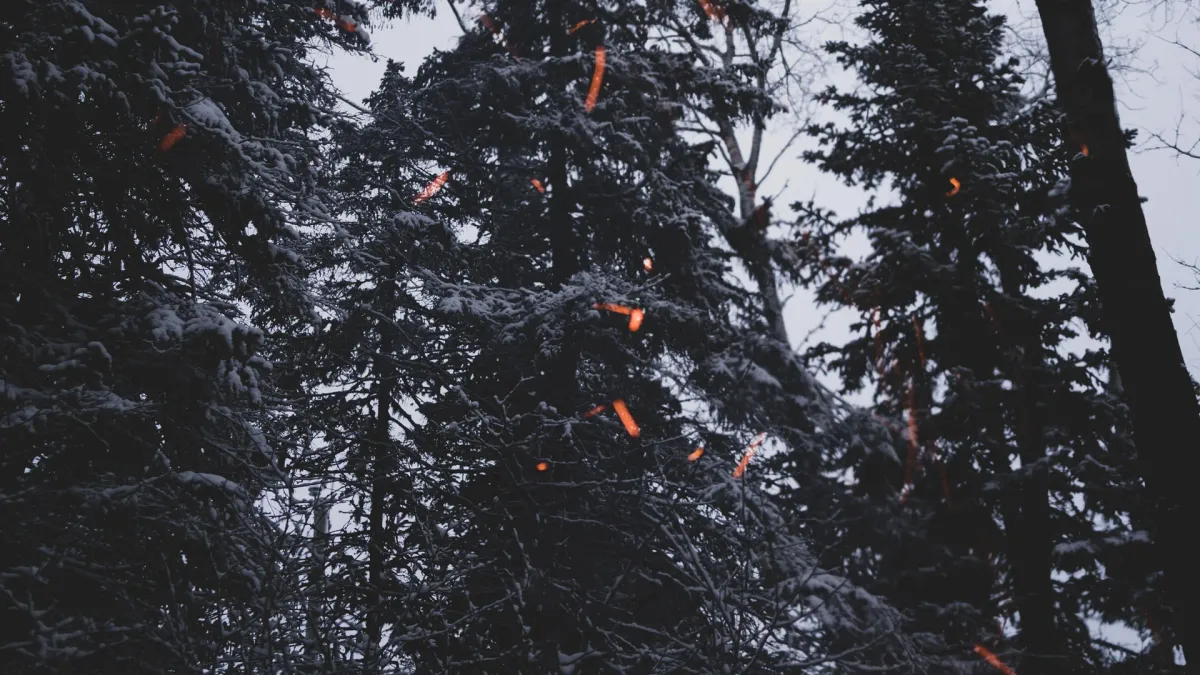 Kora (CA) in Montr\u00e9al