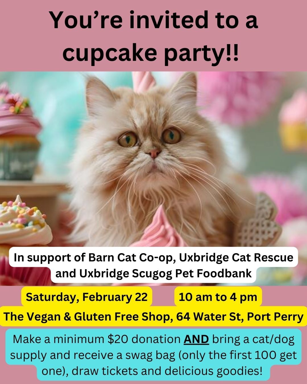 Kitty Cupcake Pawty Fundraiser