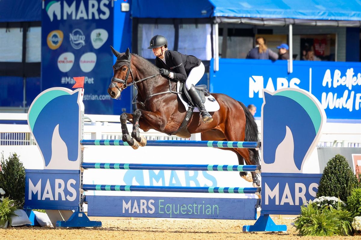 Championship Show Jumping