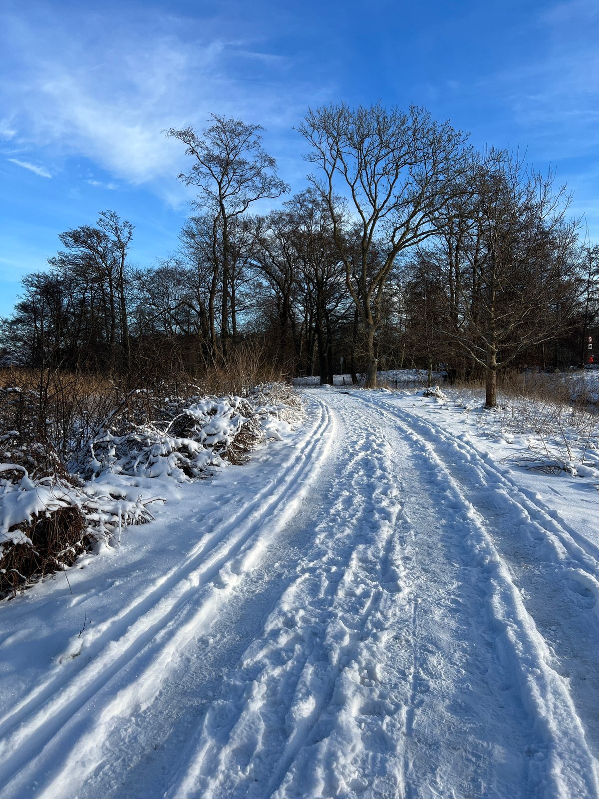 Camino Caf\u00e9 i Pilgrimshuset Albergue Ballerup