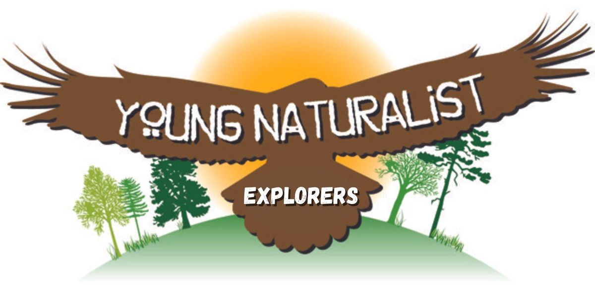 Young Naturalist Explorers: Spooky Swamp Walk