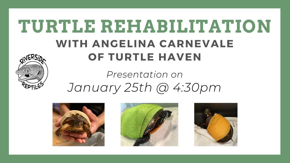 Turtle Rehab Presentation with Angelina Carnevale