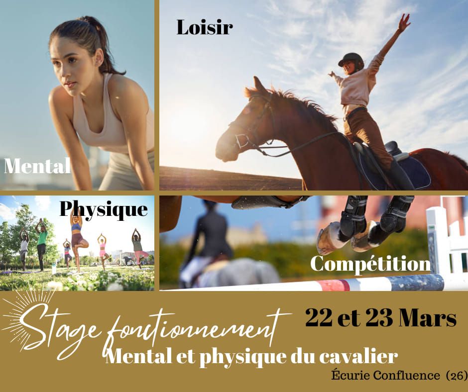 Stage Fonctionnement Mental Et Physique Du Cavalier 