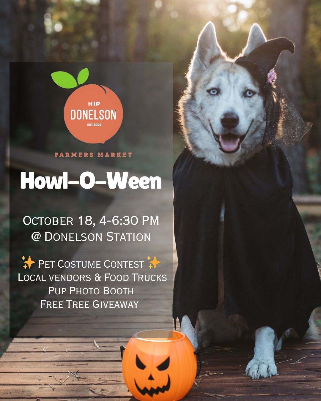 Howl-O-Ween at the Market