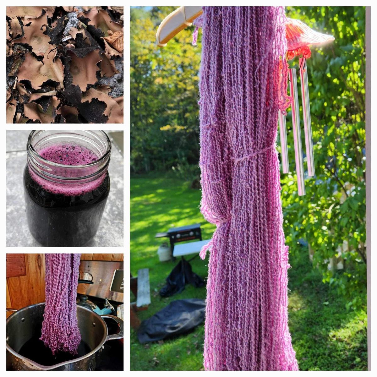   Join us for Dyeing with Lichen