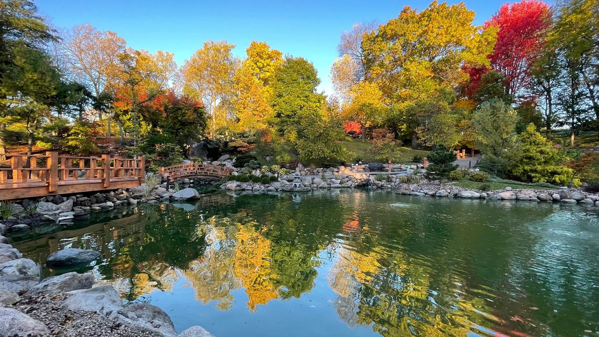 FREE FAMILY EVENT: 30th Anniversary Celebration of the Japanese Garden