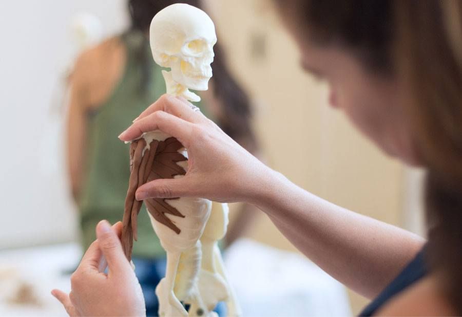 Anatomy in 3D | Corso di Anatomia - Vicenza