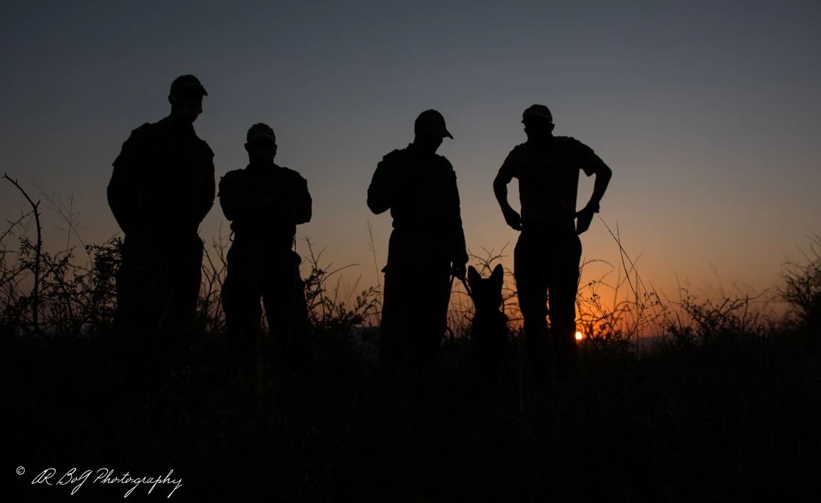 K-9 and Wildlife Adventure in South Africa