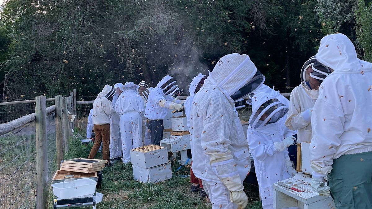 2026 Thriving Hive Beginning Beekeeping Series