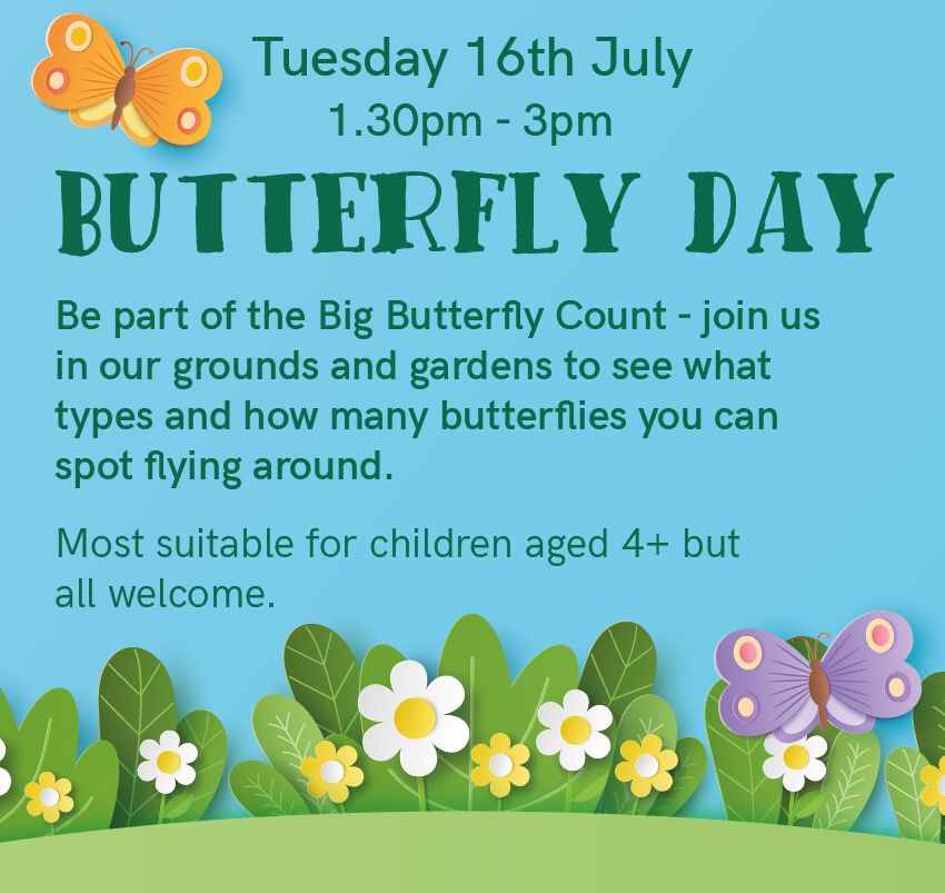 Butterfly Day - Super Summer Fun!