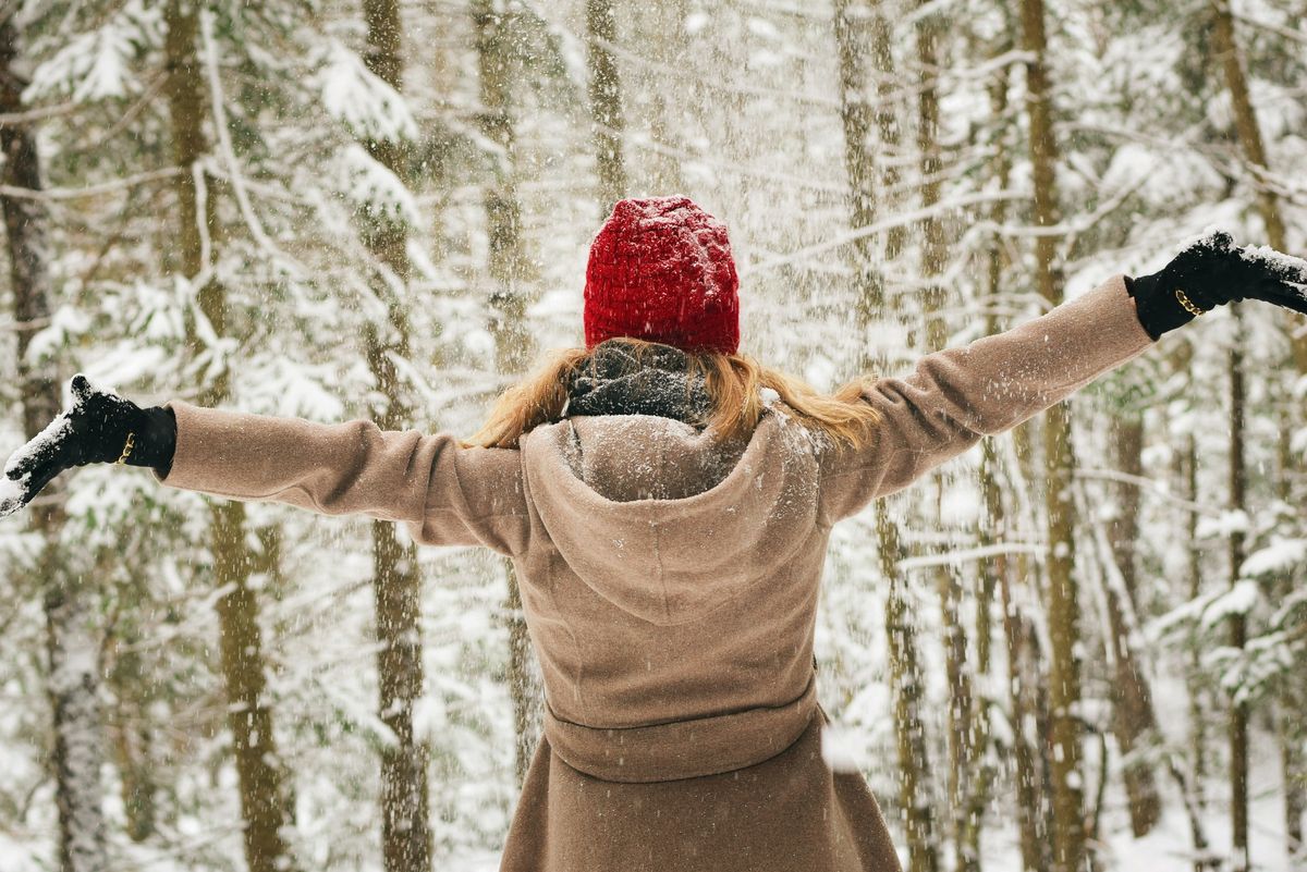 Valentines in the Forest (Forest Therapy Walk)