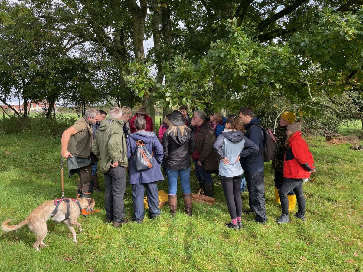 New Forest Mushroom Foraging Workshop