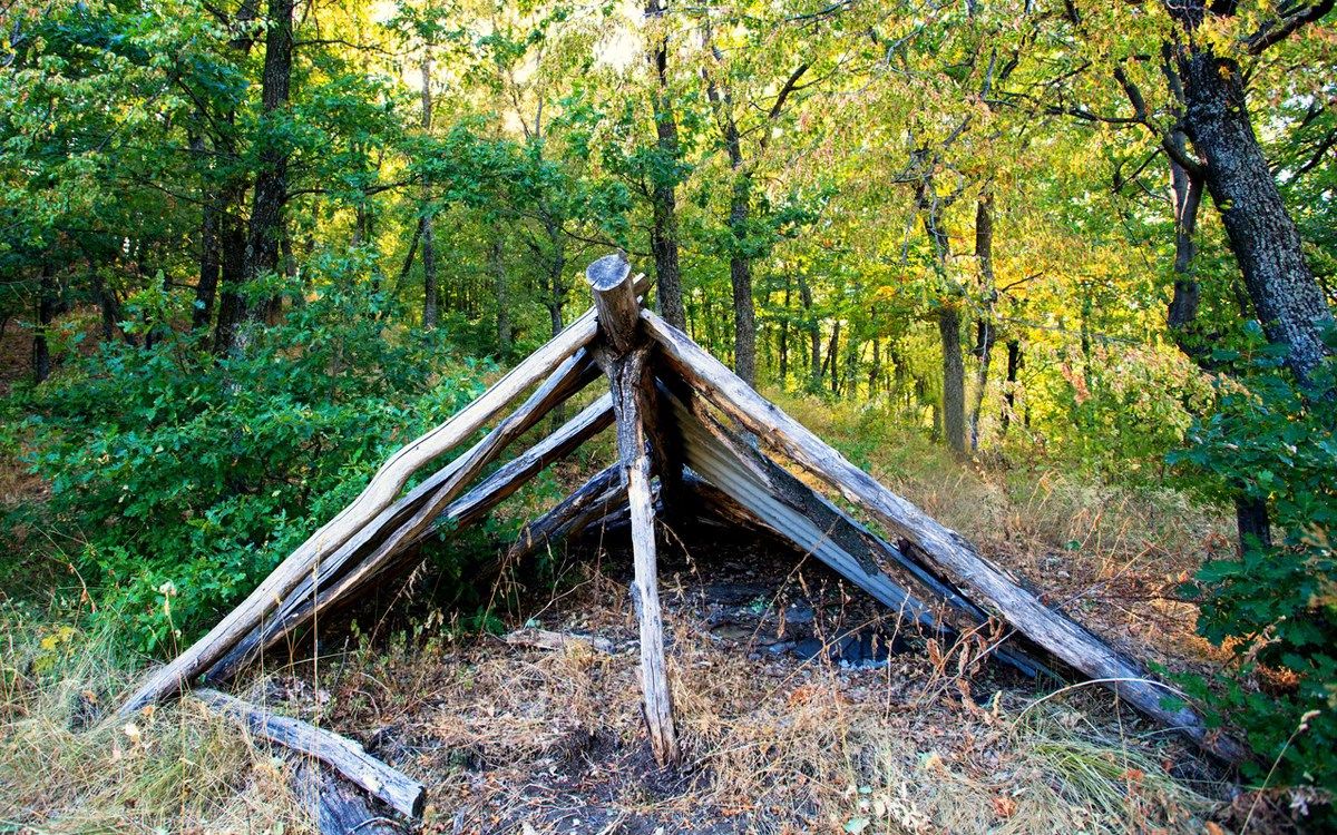 Veteran's Day Survival Camp