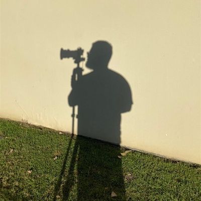 The Shifter Community