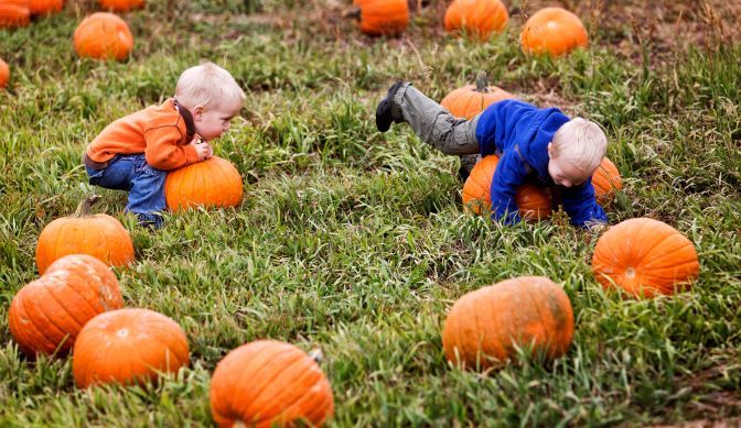 Harvest Festival