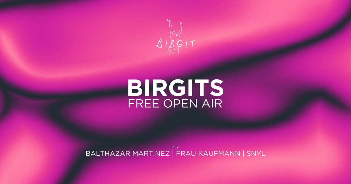 Birgits FREE OPEN AIR with Frau Kaufmann, Balthazar Martinez, SNYL