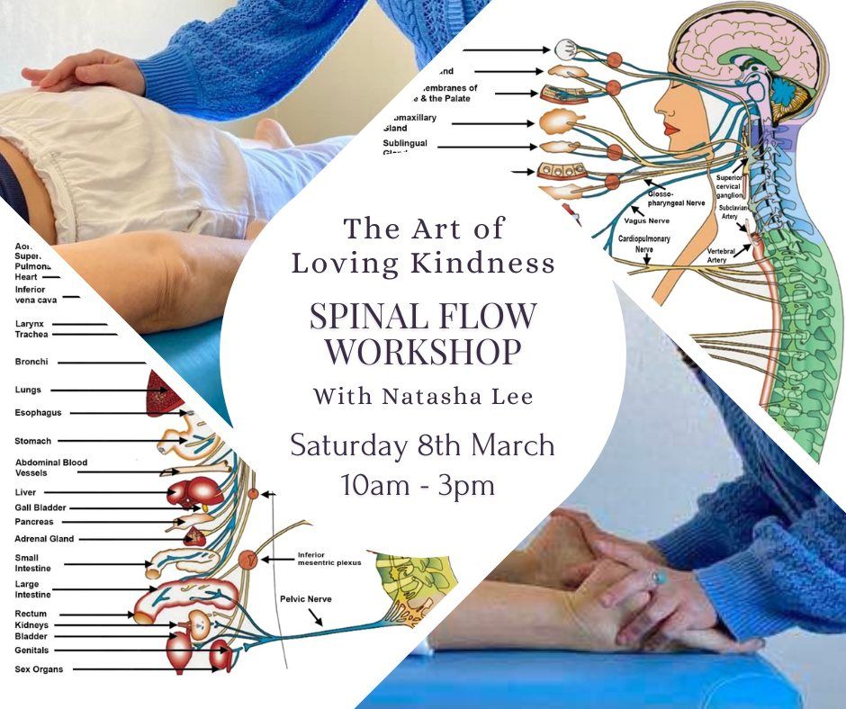 Spinal Flow Workshop