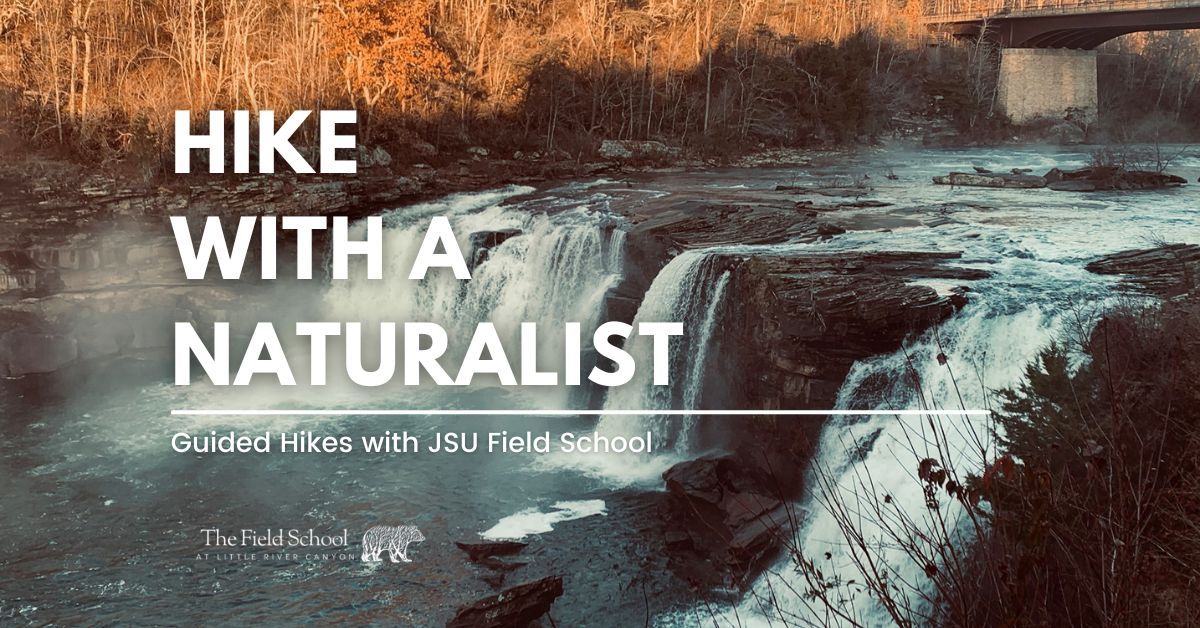 Hike with a Naturalist - Opt Outside