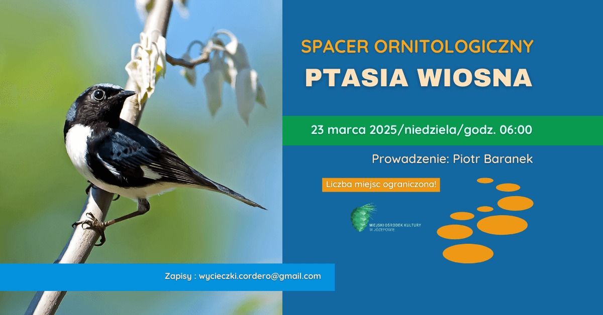 PTASIA WIOSNA\/SPACER ORNITOLOGICZNY