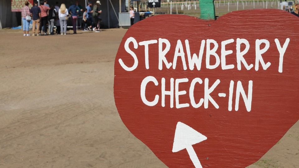 Strawberry, Sunflower & Seasonal Veggie U-Pick