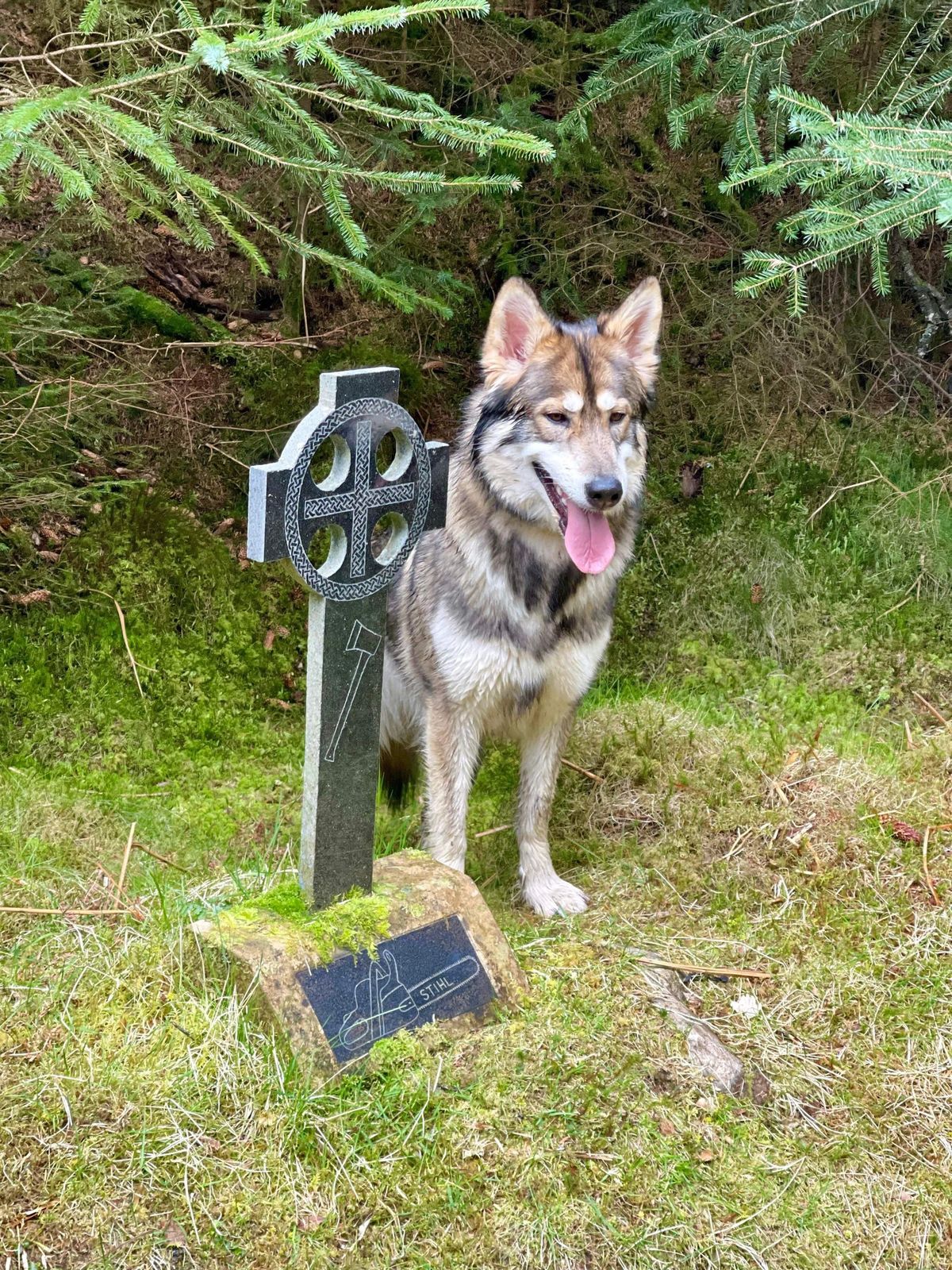 The Grave of the Unknown Forester