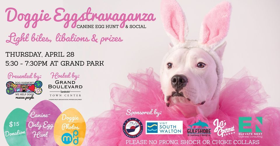 Doggie EGGstravaganza (Rescheduled)